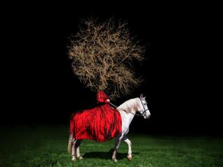 Eine Person, aus der ein Baum herauswächst, sitzt auf einem weißen Pferd.