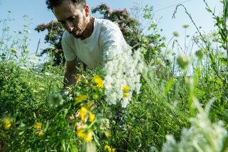 Der Choreograf Alfredo Zinola befindet sich auf einer dicht bewachsenen Wiese. Er bückt sich zu den dort wachsenden Blumen.