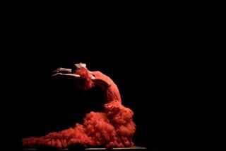 Eine Flamenco Tänzerin in einem opulenten, roten Kleid auf einer dunklen Bühne.