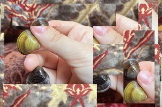 Bildcollage: Ausschnitte von einer rechten Hand, die drei kleine Muscheln (dunkelbraun, hellgrün und schwarz) zwischen den Fingern hält.  Vor einem brokaten Polstermuster in verschiedenen Farben.