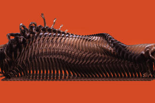 Eine Anreihung von einem unbekleidetem Mensch, schnell hintereinander in tänzerischer Bewegung aufgenommen. Es formt eine Welle und wirkt wie ein Insekt. Im Hintergrund eine einfarbige Orange-Rote Farbe.