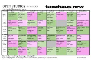 Stundenplan der Open Studios für Erwachsene am 06.09. Eine Tabelle in pink und grün mit den Dozent*innennamen, ihren Workshops und den Uhrzeiten.